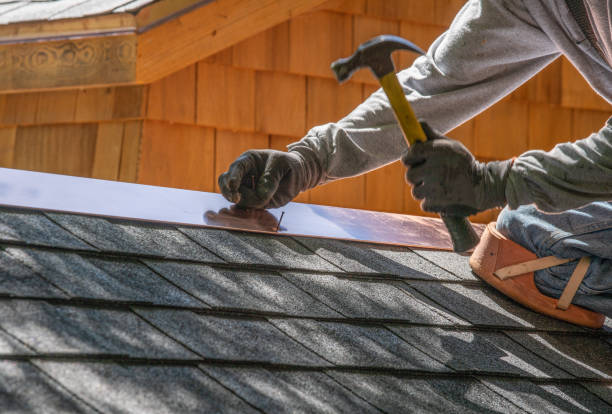 Best Metal Roofing Installation  in Chama, NM