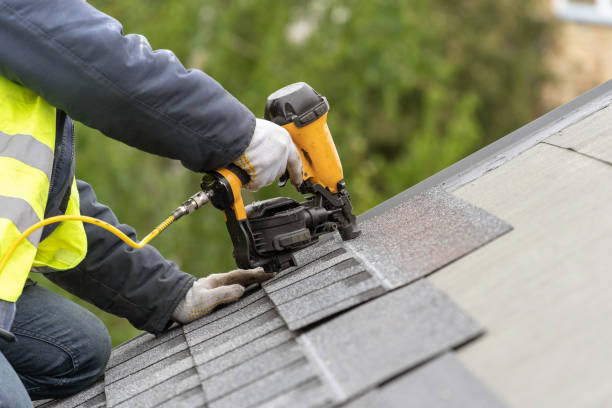 Best Roof Ventilation Installation  in Chama, NM