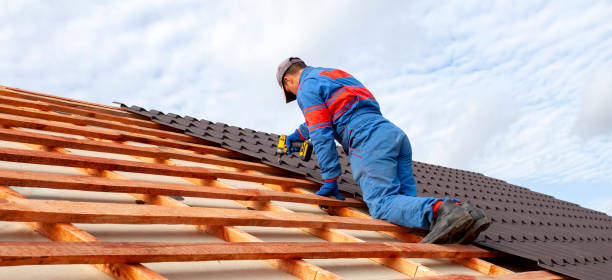 Best Roof Ventilation Installation  in Chama, NM