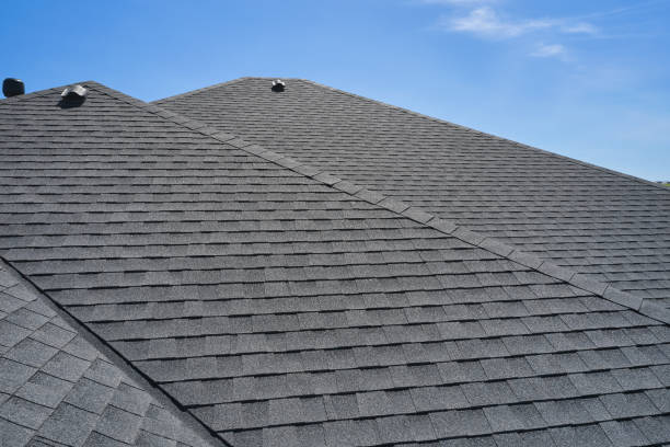 Best Roof Moss and Algae Removal  in Chama, NM