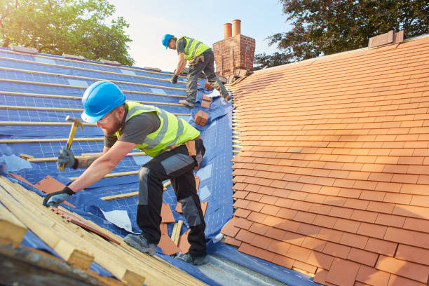 Best Rubber Roofing (EPDM, TPO)  in Chama, NM